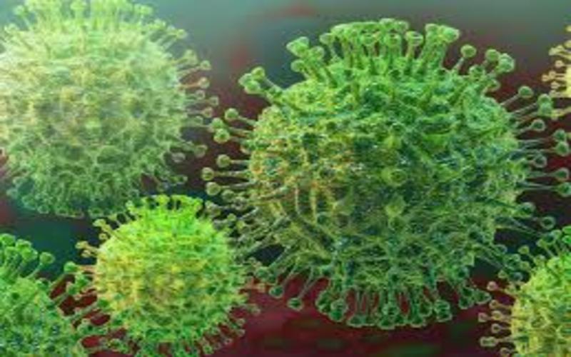 i2i News Trivandrum, corona virus, i2inews 