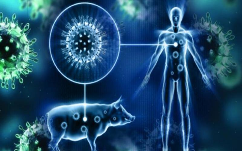 i2i News Trivandrum, HEALTH, SWINE FLU, I2INEWS