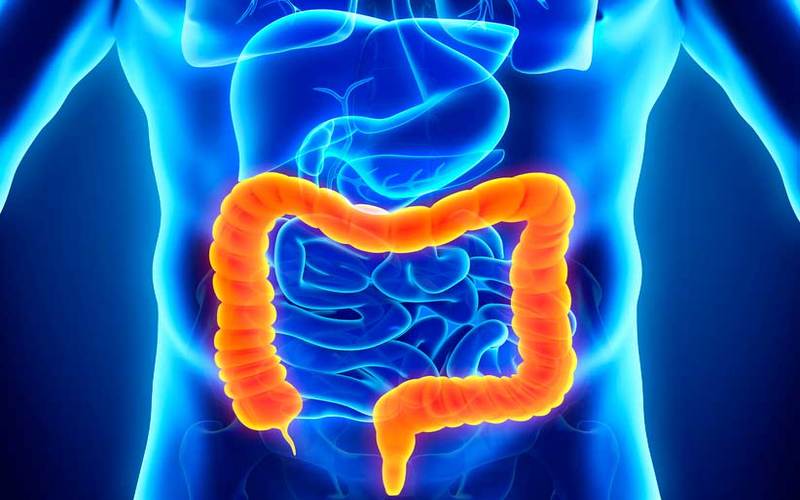 i2i News Trivandrum,health, intestine, diseases, i2i news