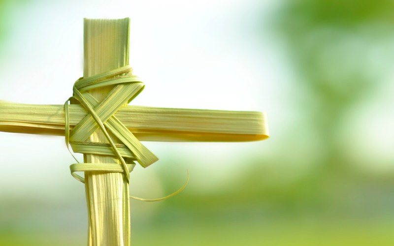 i2i News TrivandrumReligion,palm sunday,christians,church,i2inews