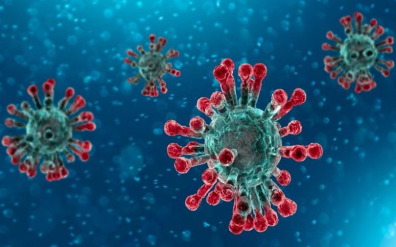 corona virus