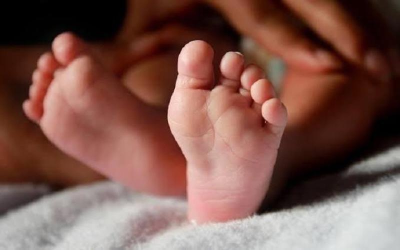 i2i News Trivandrum,life,two year old baby ,death,pulppalli,i2inews