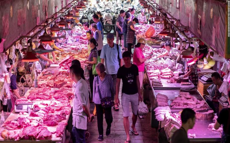 i2i News TrivandrumLife,covid19,china,banned,dog,cat,meats,i2inews