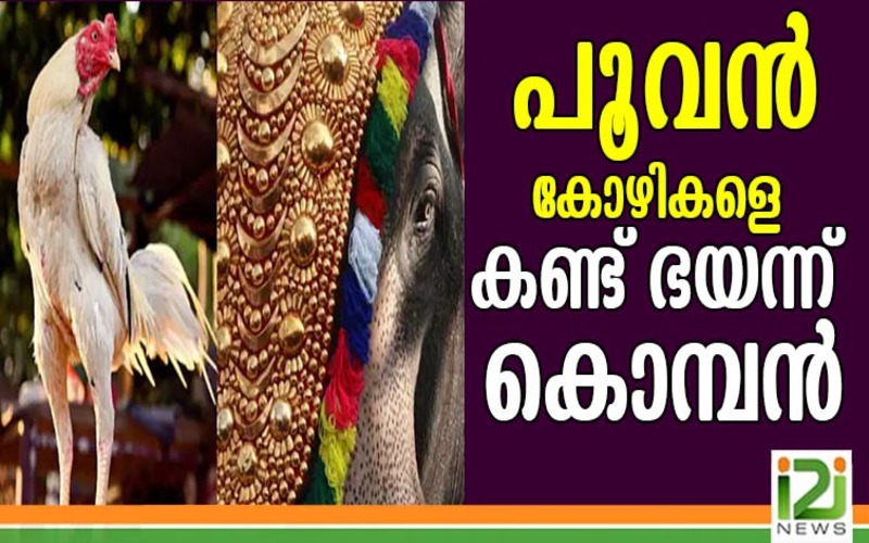 i2i News Trivandrum
