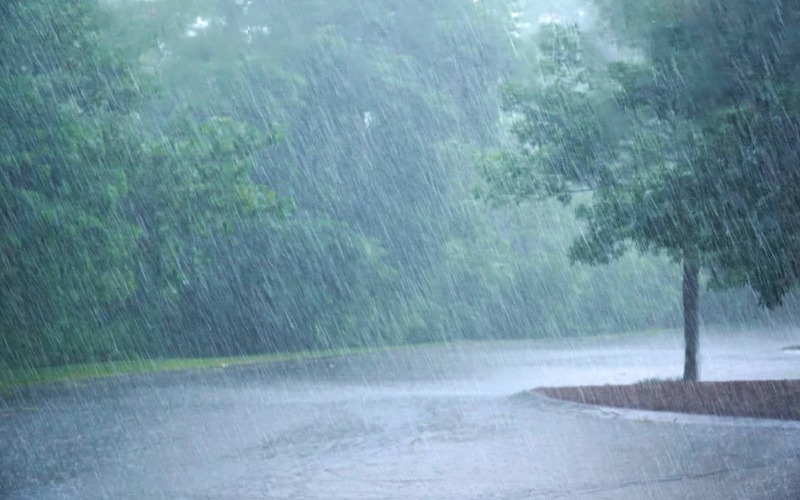 i2i News Trivandrum,life,heavy rain,yellow alert,kerala,i2inews