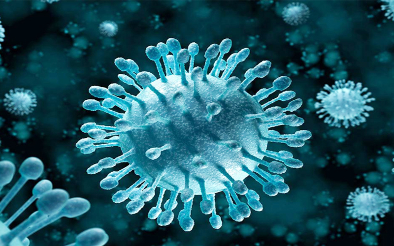 virus