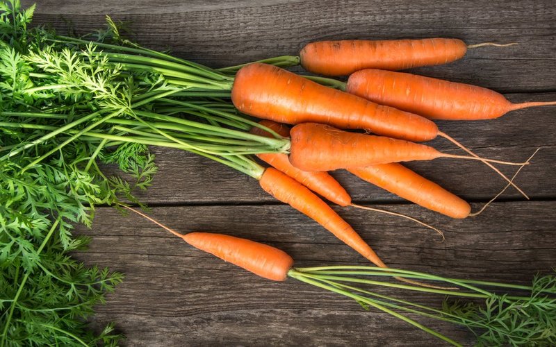 i2i News Trivandrum,carrot, foodnfit, i2inews