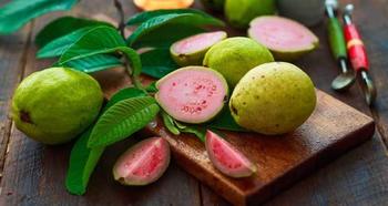 i2i News Trivandrum,guava, foodnfit, i2inews 