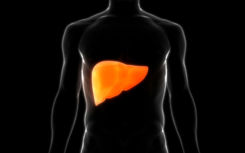 i2i News Trivandrum,non alcoholic fatty liver,health,  i2inews