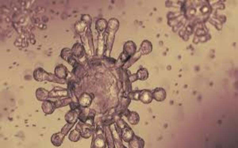 i2i News Trivandrum,corona virus, kalamassery medical college, i2inews 