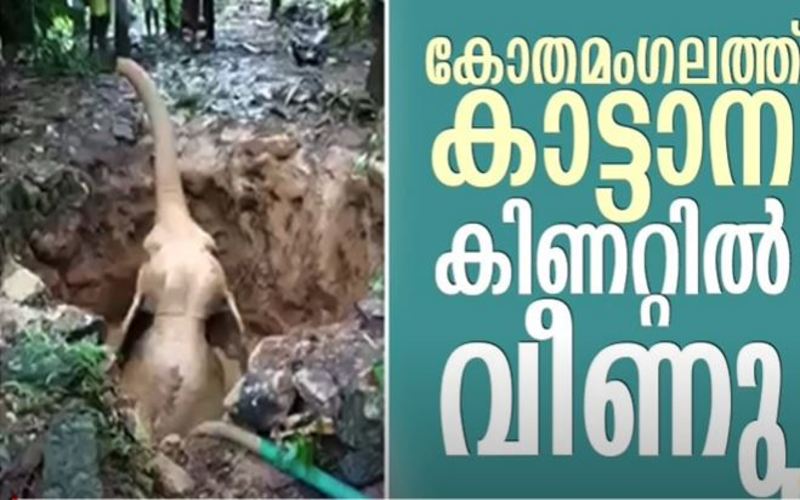 i2i News Trivandrum