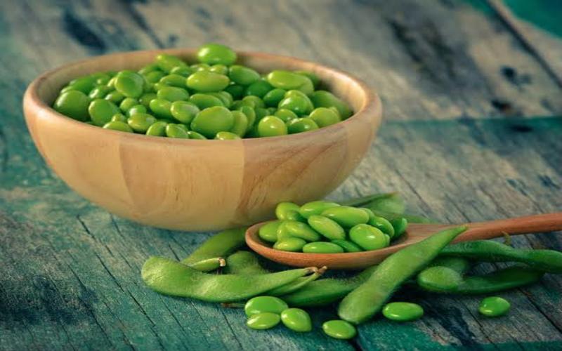 i2i News Trivandrum, askur doctor, soya bean, allergy, i2inews